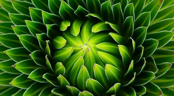 green flower representing AI patterns