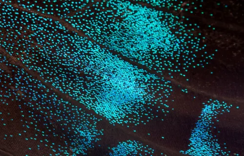 AI-generated image of glowing blue particles on a dark background, symbolizing digital…