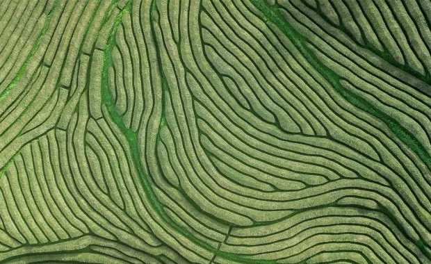 aerial view of farmland